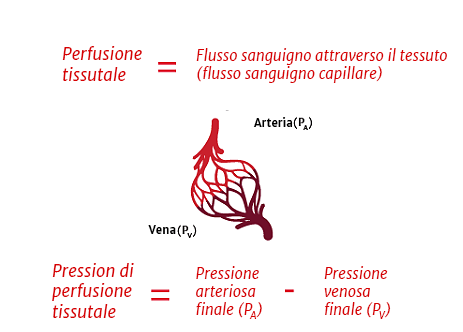 Per una perfusione appropriata sono necessarie una pressione arteriosa e una gittata cardiaca (GC) adeguate